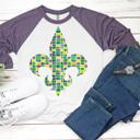  MARDI GRAS Raglan Tee | Adult Sizes | 13 Designs