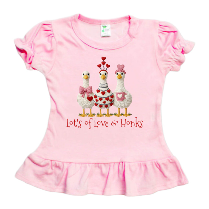 Love and Honks Geese Valentine Tee | Sizes 2T-10