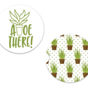  Car Coasters - Aloe There