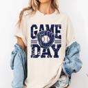 Baseball Shirt, Game Day Tee, Raising Ballers Shirt, Baseball Grandma Shirt, ‘Tis the Season Tee, Vintage Baseball Tee, Sports Mom Shirt, Comfort Colors