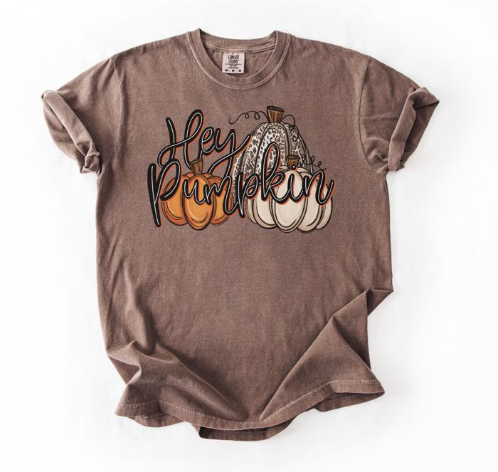 Hey Pumpkin Fall Tee Comfort Colors Graphic T-Shirt for Women, Cute Retro Autumn Shirt, Pumpkin Season T-Shirt, Cozy Fall Outfit Idea