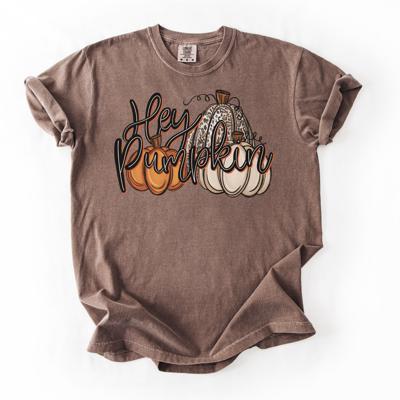 Hey Pumpkin Fall Tee Comfort Colors Graphic T-Shirt for Women, Cute Retro Autumn Shirt, Pumpkin Season T-Shirt, Cozy Fall Outfit Idea