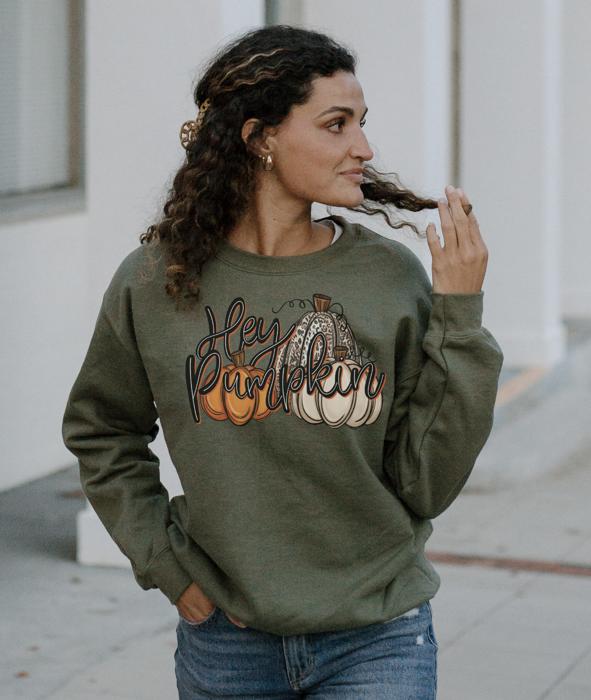 Hey Pumpkin Fall Graphic Crewneck Sweatshirt, Cute Autumn Sweater, Cozy Pumpkin Season Pullover, Thanksgiving Crew, Fall Aesthetic Sweatshirt