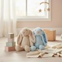  Custom Embroidered Bunny Rabbit with Name, Personalized Stuffed Animal, Easter Bunny Gift, Baby Shower Gift Newborn Keepsake Plush