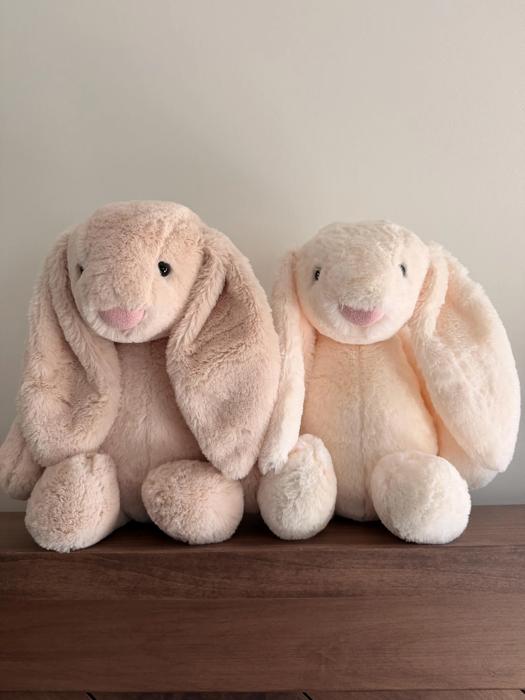 Custom Embroidered Bunny Rabbit with Name, Personalized Stuffed Animal, Easter Bunny Gift, Baby Shower Gift Newborn Keepsake Plush