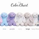  Custom Embroidered Bunny Rabbit with Name, Personalized Stuffed Animal, Easter Bunny Gift, Baby Shower Gift Newborn Keepsake Plush