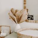  3pcs NATURAL Sun-Dried Coastal Palm Frond Leaf for Home & Party Decor, Wedding, SAME DAY FREE SHIP   