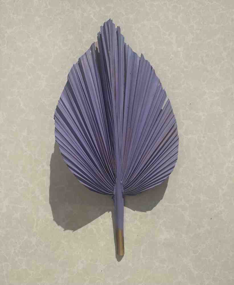 3 Pcs REAL Sun-Dried, Hand-Painted, Organic, Natural, Lilac PURPLE Palm Leaves for Home & Office Decor, Wedding, and Party Decor SAME DAY FREE SHIP