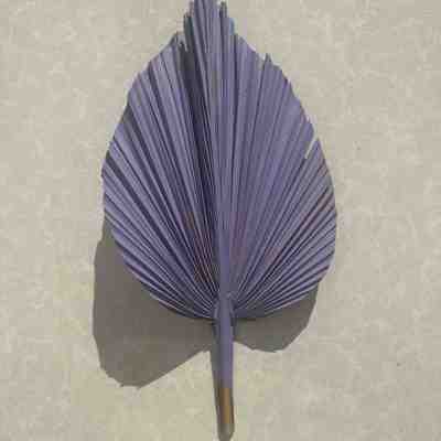 3 Pcs REAL Sun-Dried, Hand-Painted, Organic, Natural, Lilac PURPLE Palm Leaves for Home & Office Decor, Wedding, and Party Decor SAME DAY FREE SHIP