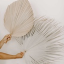  Bundle of 3, Wispy Leaf, Natural, Coastal, Palm Fan + 1 Free 20" Palm, SAME DAY FREE SHIP