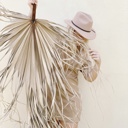  3ft. JUMBO Sun-Dried Natural Coastal Wild Untouched Palm Leaf Wispy Frond XL, SAME DAY FREE SHIP