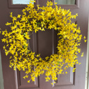  Forsythia Wreath for Front Door, Spring Wreath