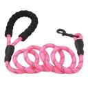  5FT Rope Leash w/ Comfort Handle