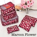  6 Piece Travel Organizer