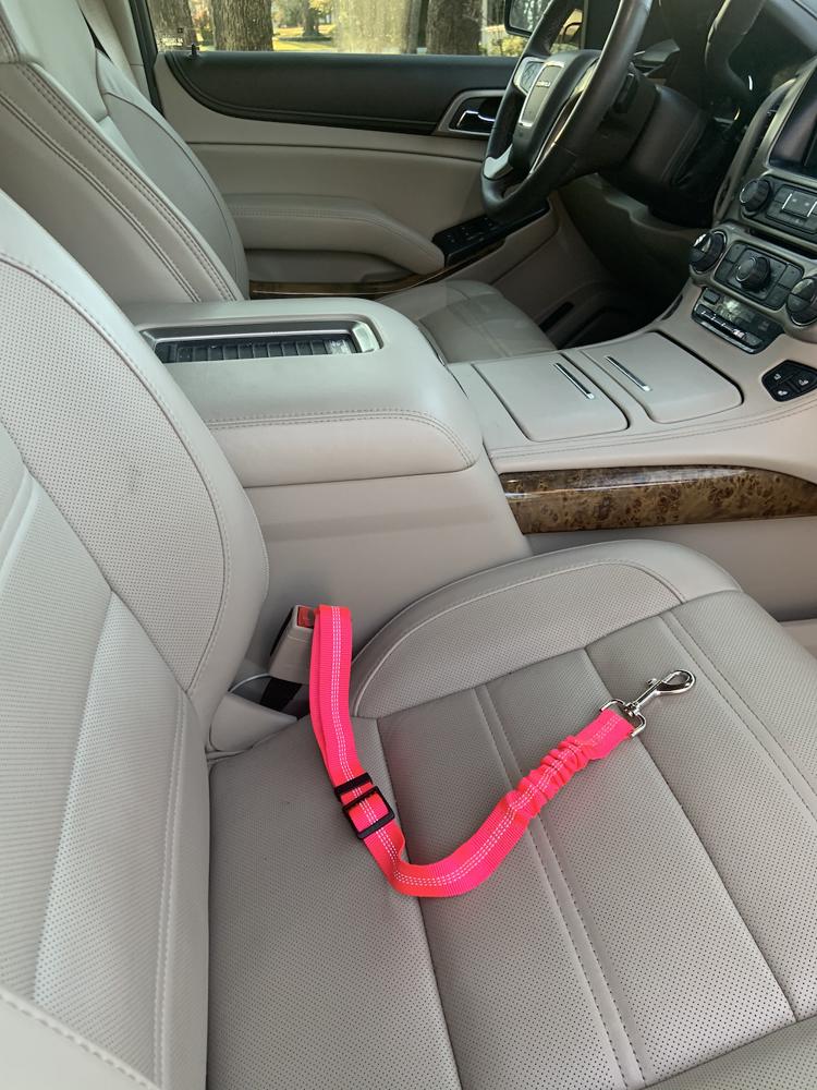 Car Elastic Safety Leash