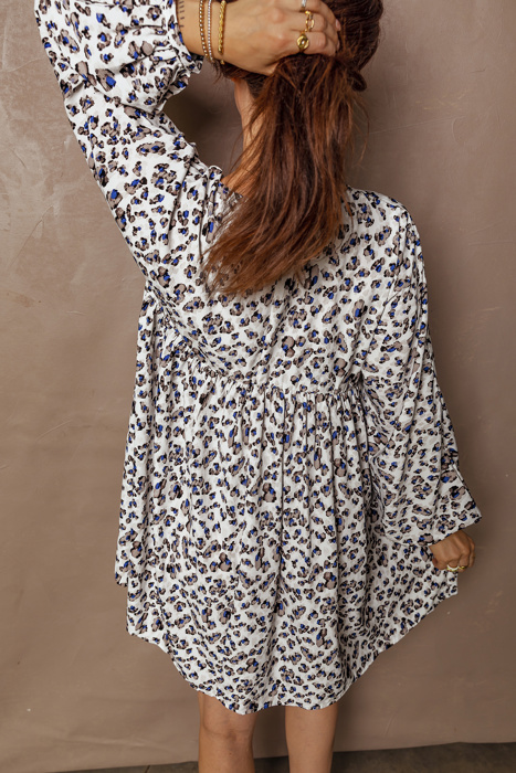 Adaline Long Sleeve Mini Dress