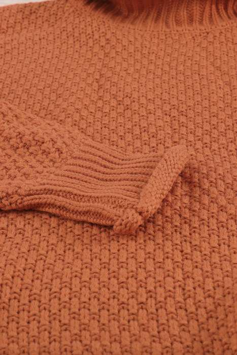 Amelia Sleeve Turtleneck Sweater Long Sleeve Top