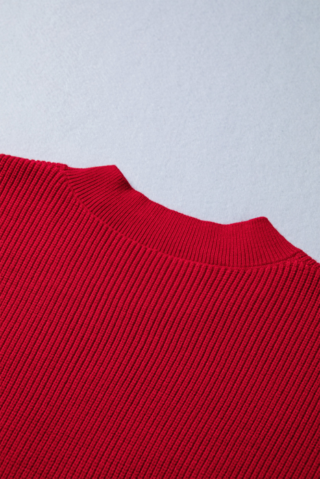 Arya Embroidered Graphic Ribbed Sweater