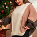  Brown Exposed Seam Colorblock Plus Size Hoodie