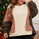 Brown Exposed Seam Colorblock Plus Size Hoodie