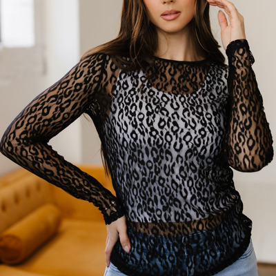 Denver Pattern Sheer Mesh Long Sleeve Top