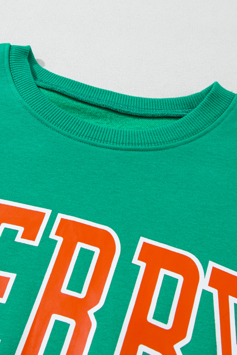 Ella Bright Merry Graphic Pullover