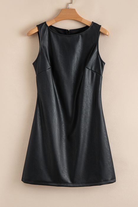 Emelia Leather Sleeveless Mini Dress