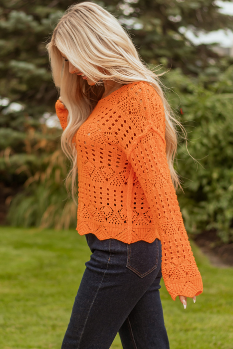 Emerson Crochet Scallop Edge Sweater