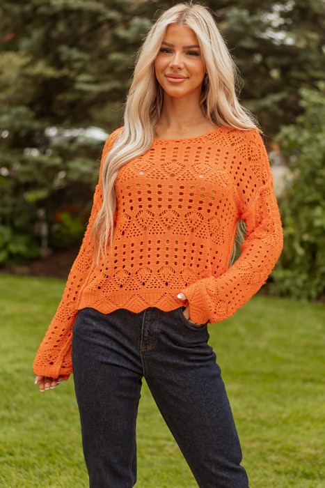 Emerson Crochet Scallop Edge Sweater