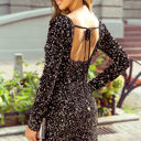  Emersyn Sequin Long Sleeve Bodycon Dress