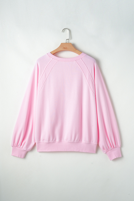 Emery Embroidered Raglan Sleeve Sweatshirt