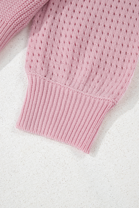 Evelyn Eyelets Raglan Sleeve Sweater