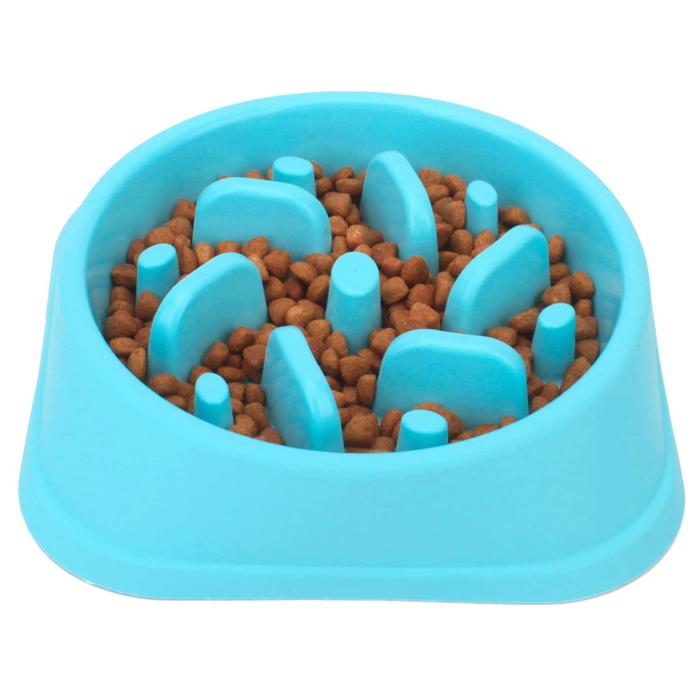 Slow Feeder Dog Bowl