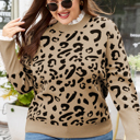  Halle Lacy Trim Cuffed PLUS Sweater