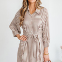 Brown Stripe Medium Hanna Sleeve Down Mini Shirt