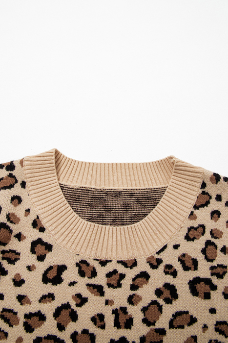 Isabela Print Dolman Sleeve Sweater