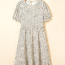  Kaylani Plus Size Leopard Print Flared Dress