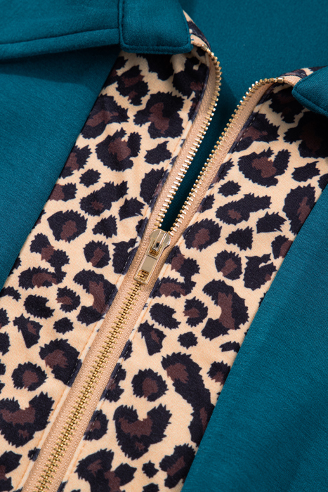 Keily Zip Collared Mini PLUS Dress