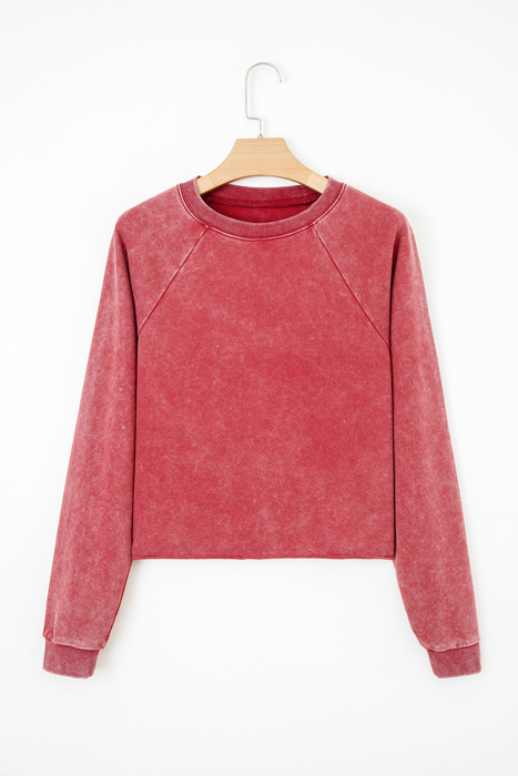 Liberty Raw Hem Crop Sweatshirt