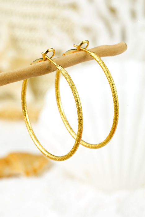 Melissa Plated Retro Hoop Earrings