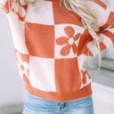  Miller Checkered Floral Striped Sleeve Sweater