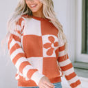  Miller Checkered Floral Striped Sleeve Sweater