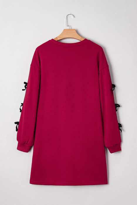 Priscilla Drop Shoulder Sweatshirt Dress