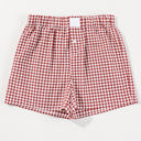 Red Stripe XL Gingham High Waist Shorts
