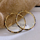  Sajira Stainless alloy Hoop Earrings