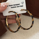  Sajira Stainless alloy Hoop Earrings