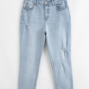 Beau Blue Size 4 Scarlett Length Distressed Skinny Jeans