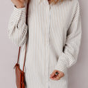 Khaki Stripe Large Selena Long Sleeve Button Up Shirt Dress