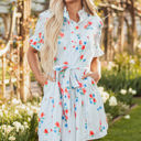 Sky Blue Stripe XL Siya Blue Stripe Floral Ruffle Short Sleeve Belted Mini Dress