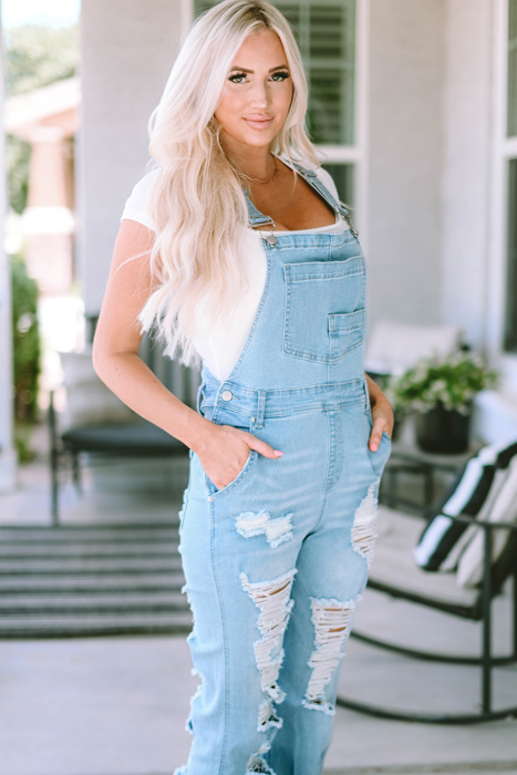 Sophia Constructed Bib Distressed Overalls